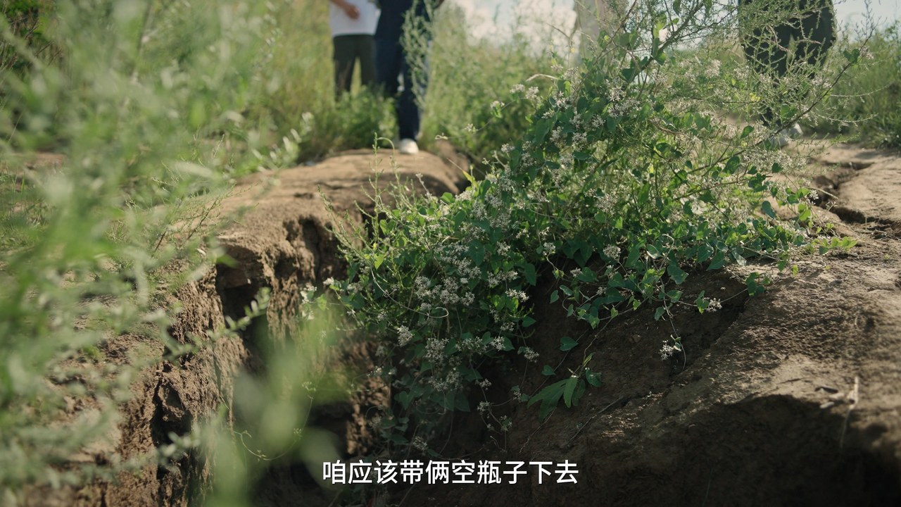 董志塬 · 原稿配图 15