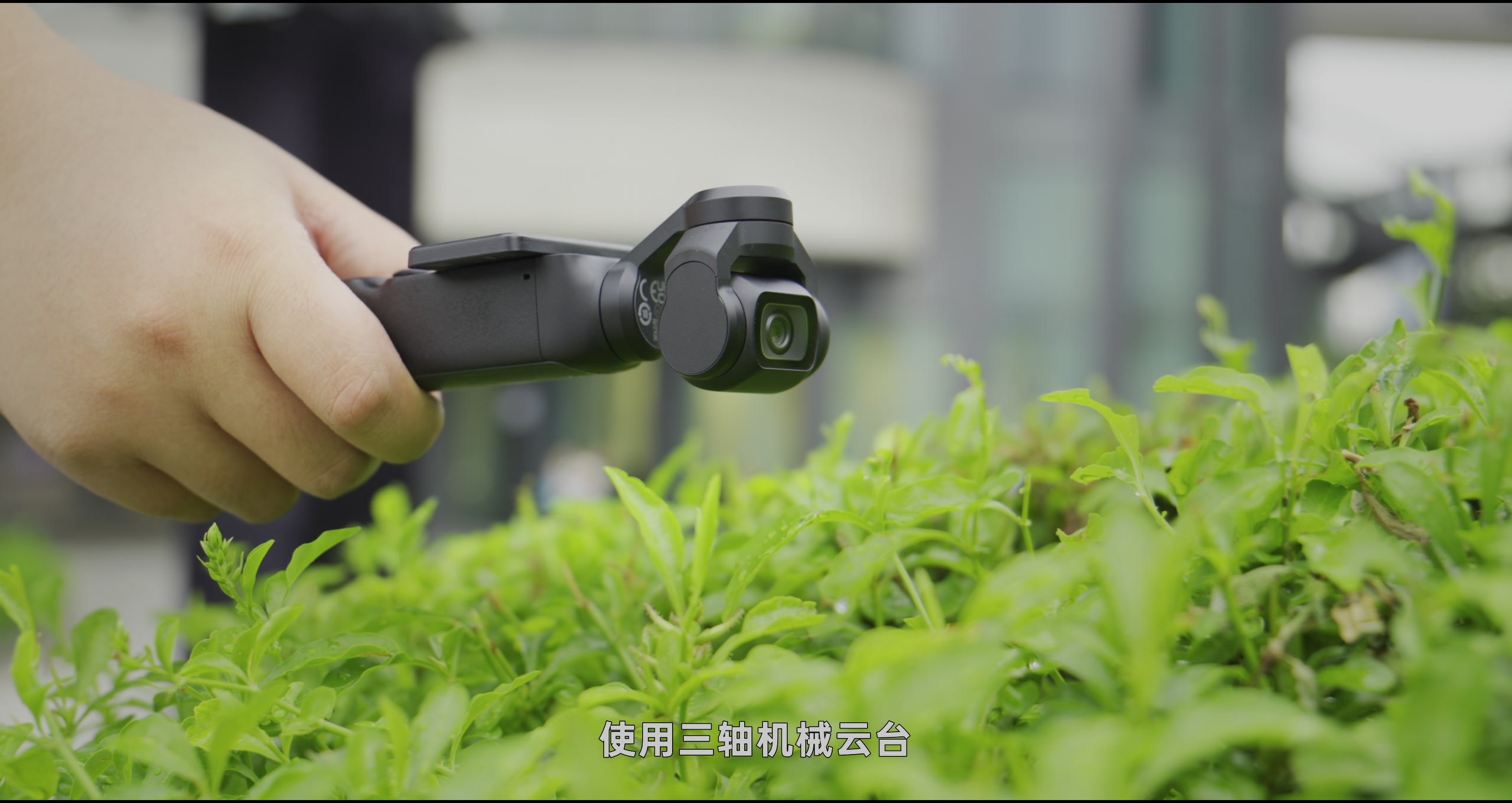 手机解决不了的问题 · 原稿配图 13
