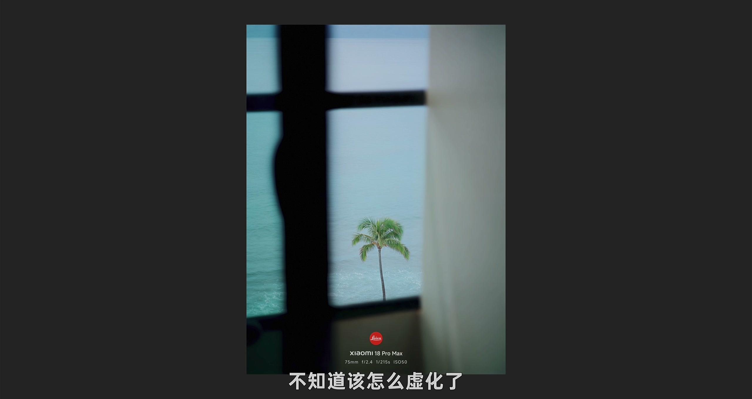 镜头模拟 · 原稿配图 16