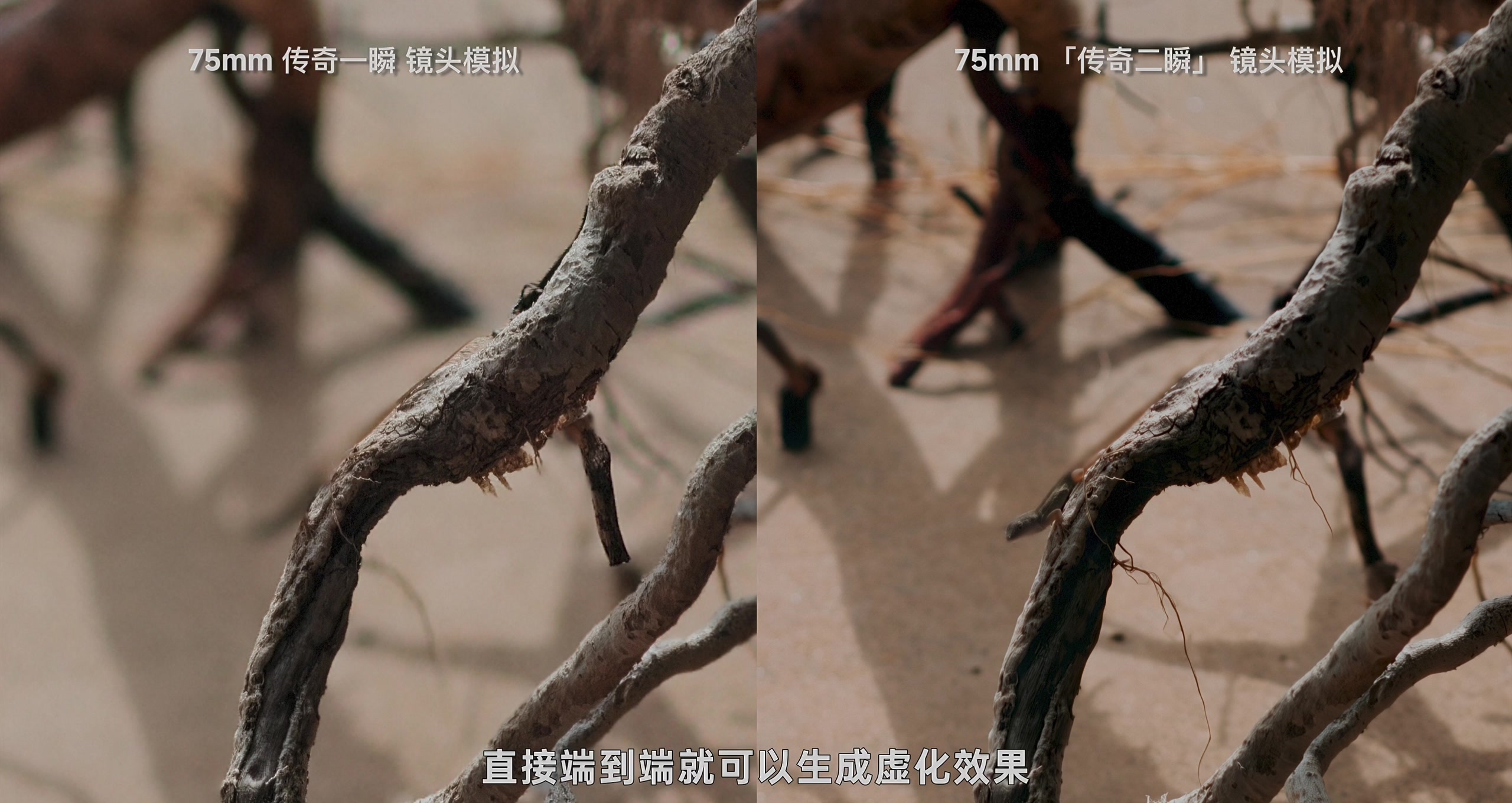 镜头模拟 · 原稿配图 17