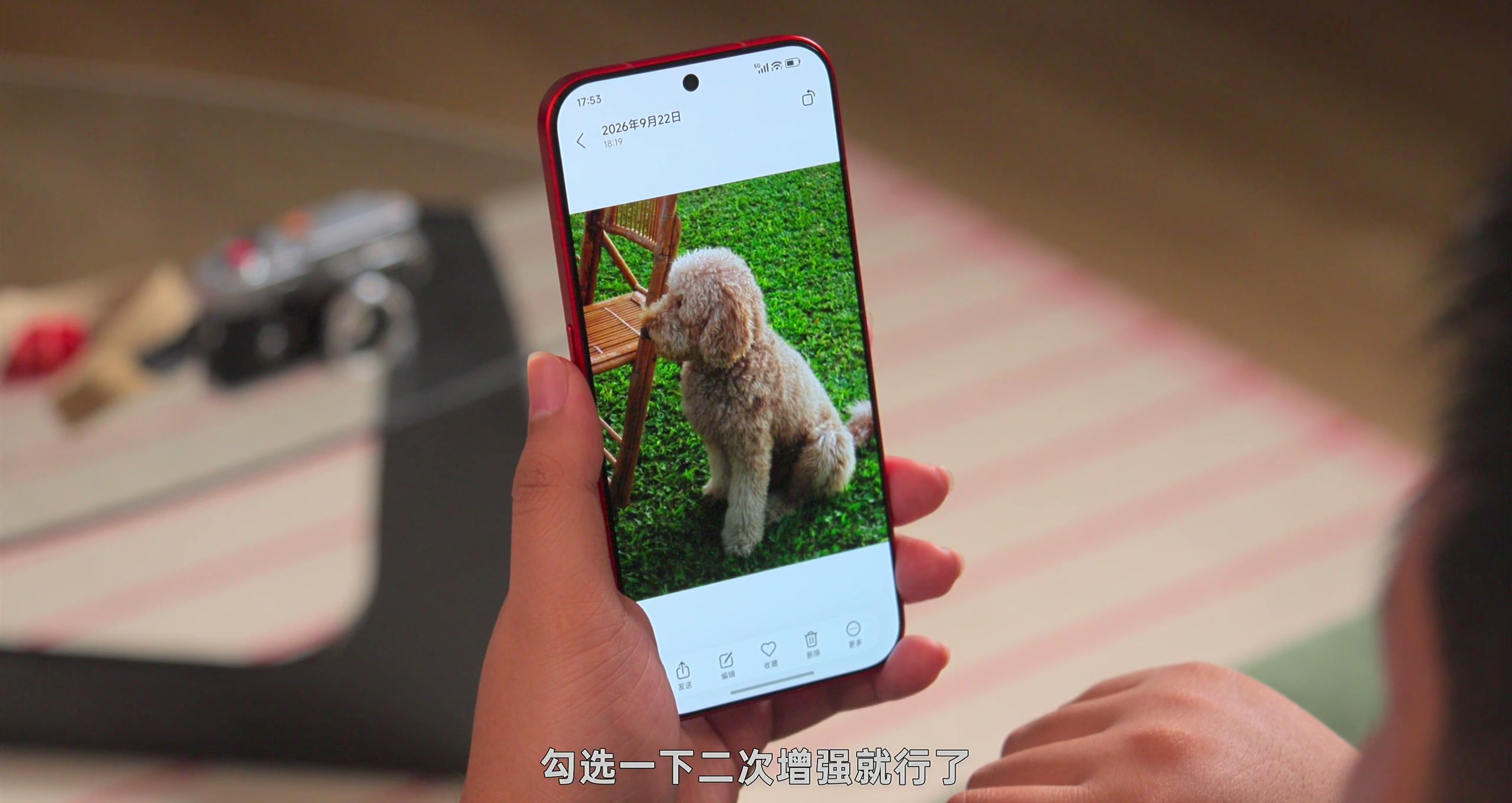 镜头模拟 · 原稿配图 19